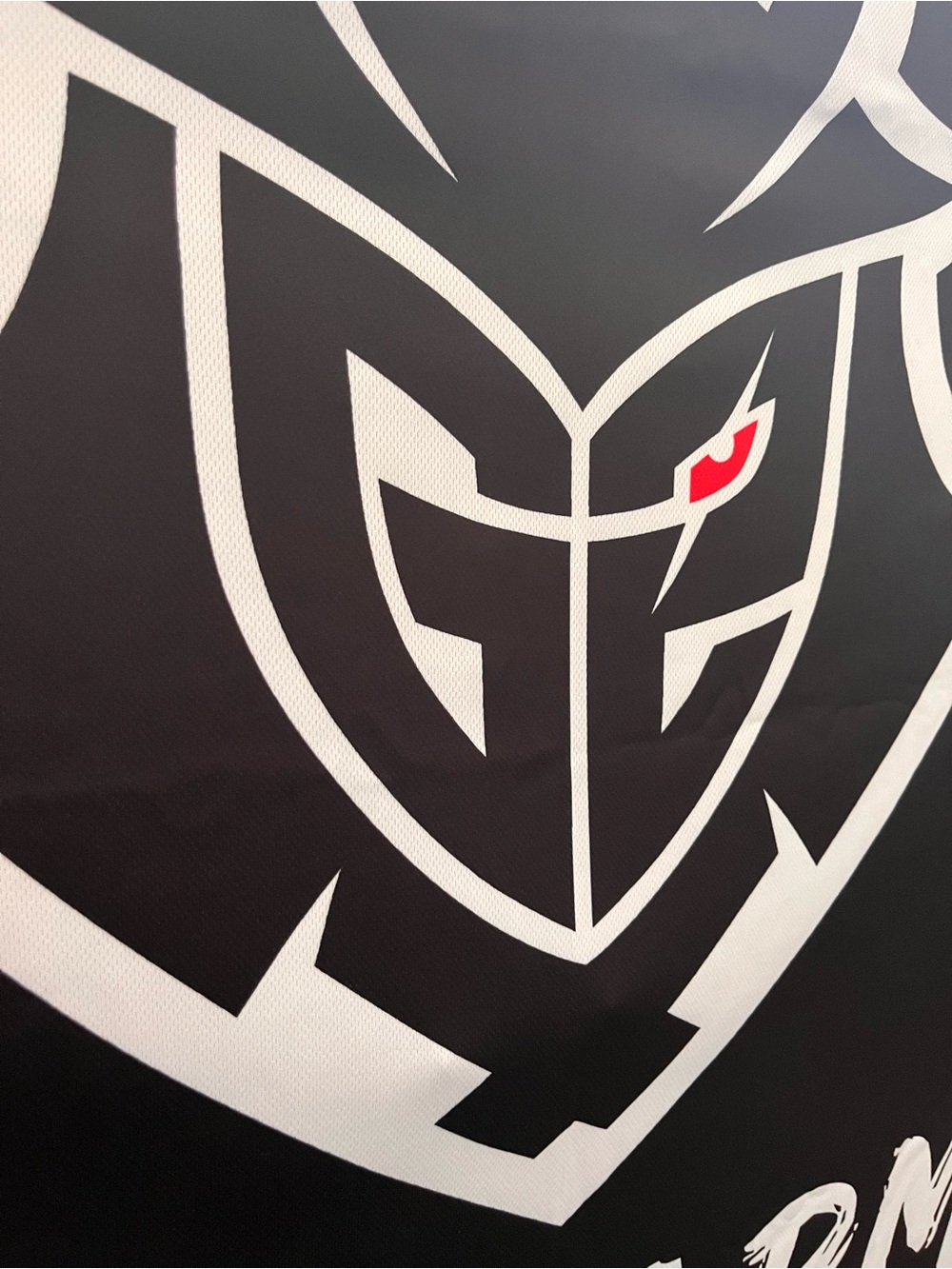 G2 esports Men's Black and White flag with Red Accent